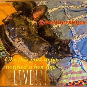 LIKE FOR LIVE UPDATES! YALL, IT'LL HAPPEN EVENTUALLY, I'M SORRY FOR THE DELAYS